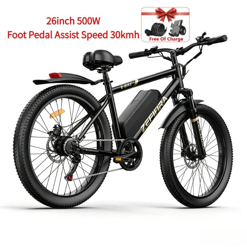 Zefiora M10 Aluminum Electric Bike